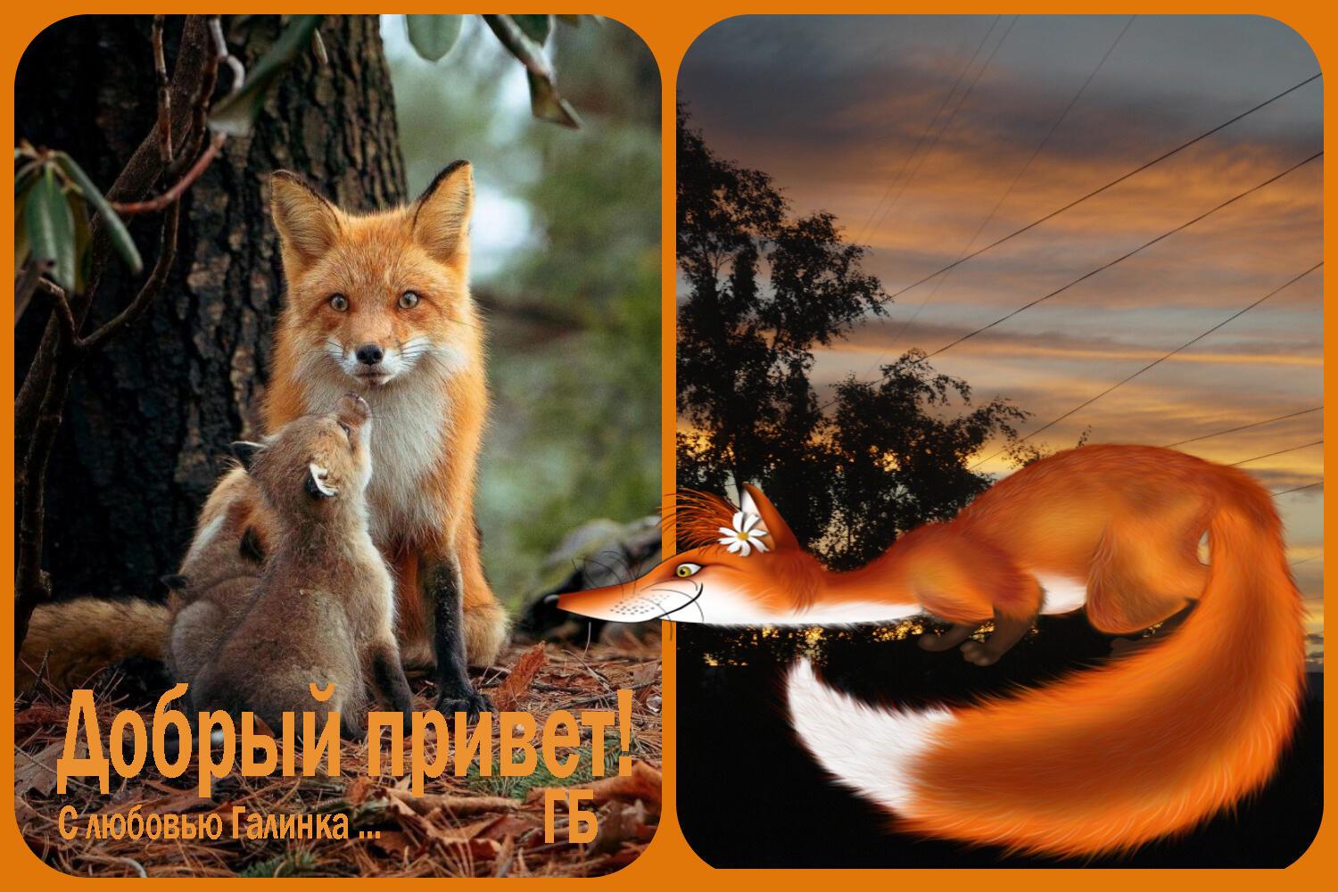 Был рассвет такой красы,   Галинка Багрецова