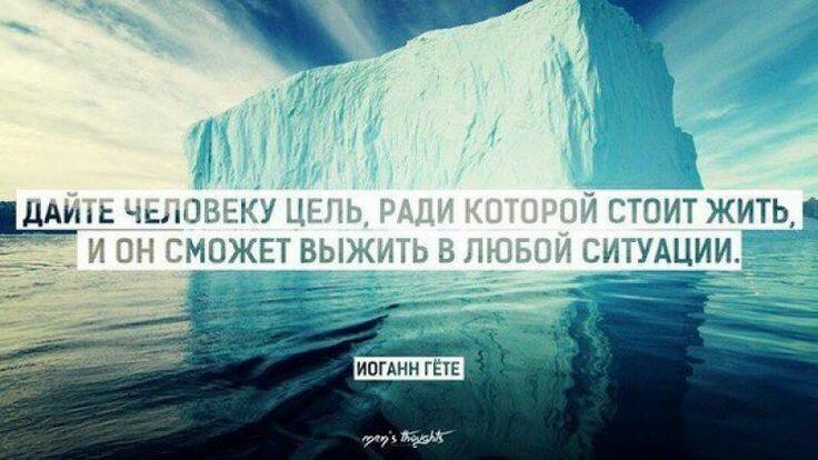 Мой друг живи