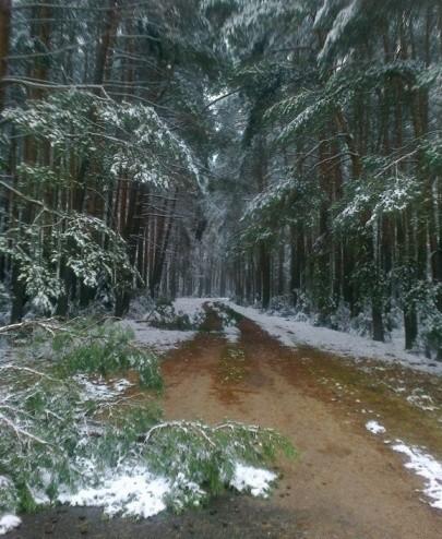 Этапы к Сиянию