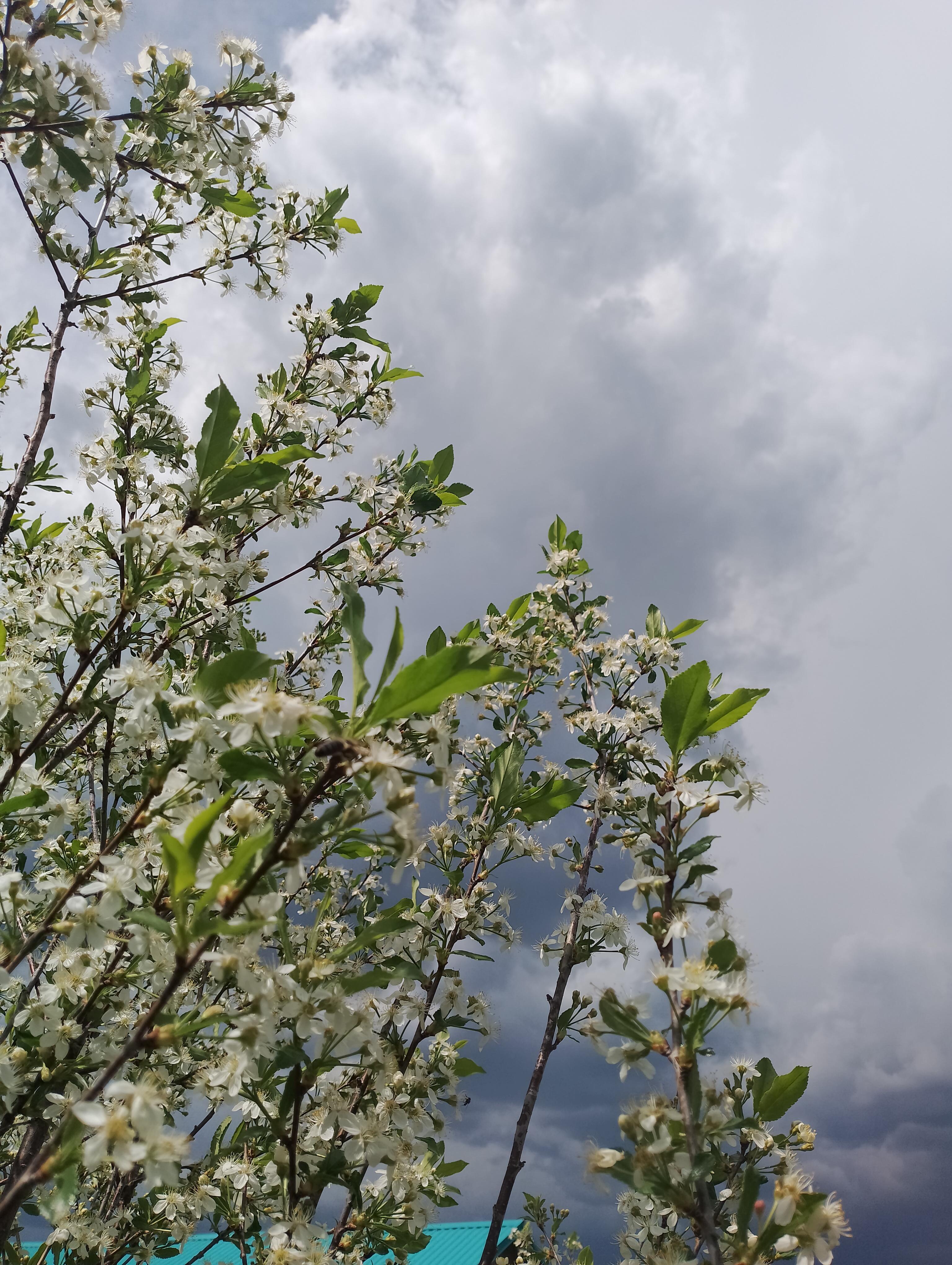 До лета шаг