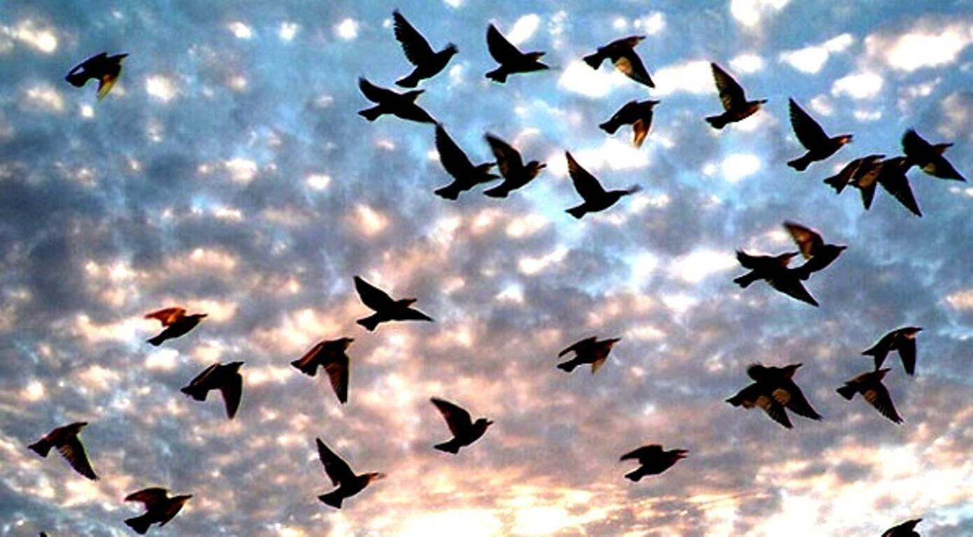 Как неопознанное множество...