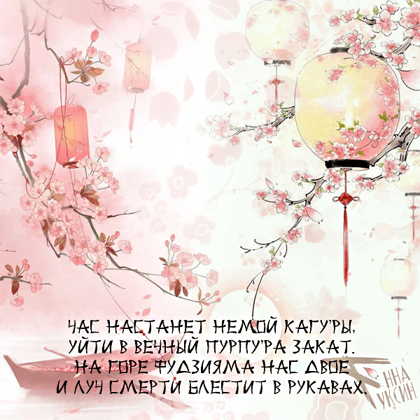 Измерь мою сущность в татами