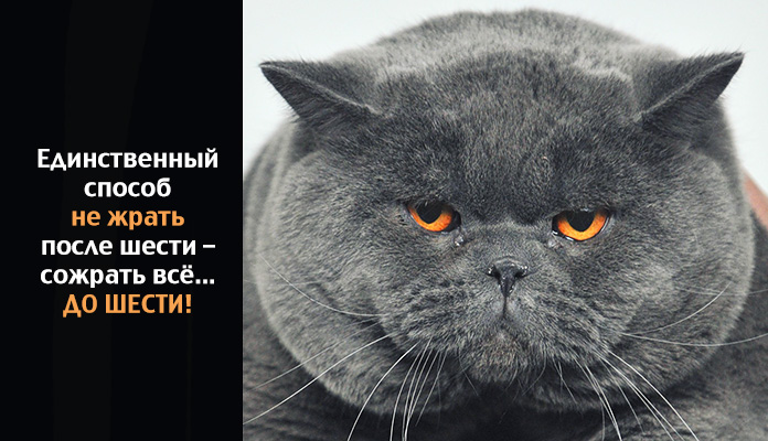 После шести и вправду я не ем...