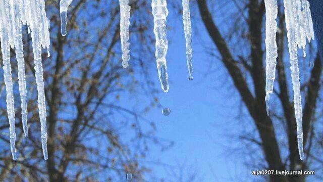 ВЕСНА ПРИШЛА!
