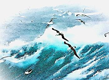 Без предупреждения