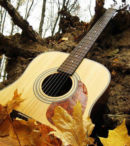 Ответ поэту - Александра Гритсан - Просто Подорожничек - 9