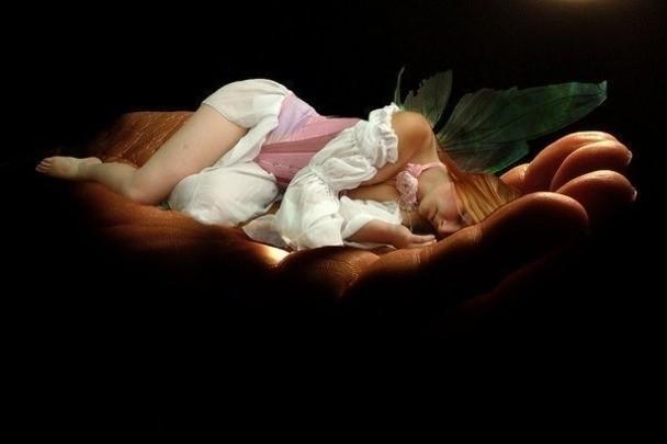 Веточка ирги