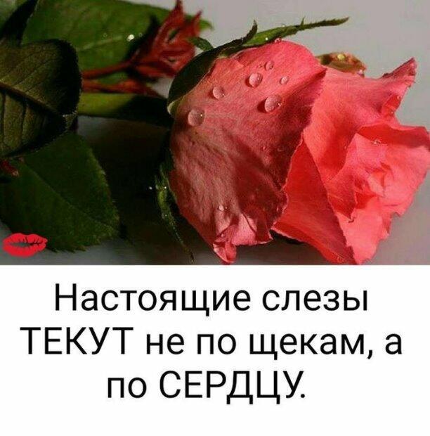 Светлой памяти Татьяны Демьяненко.