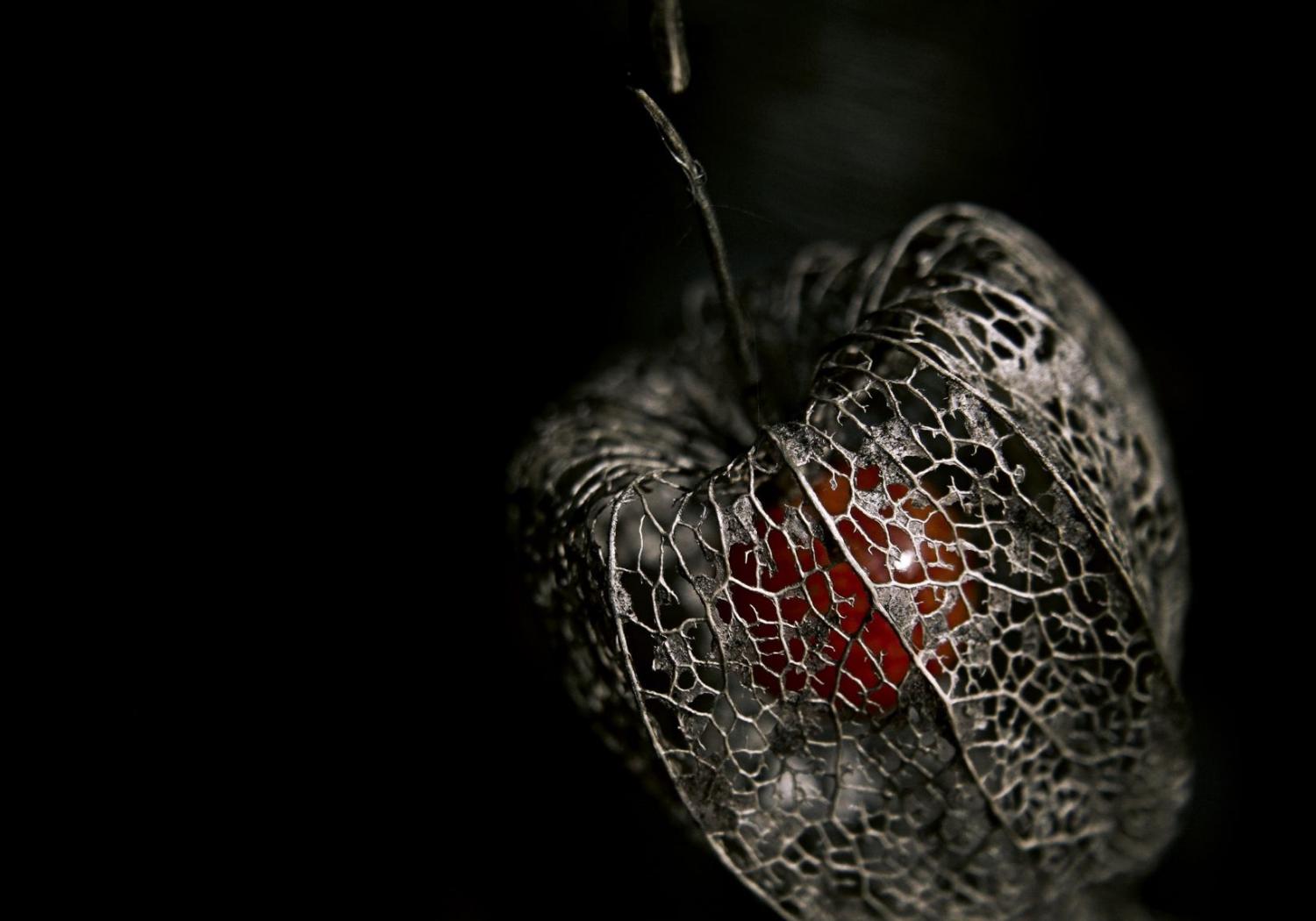 Еще недавно в глубине...