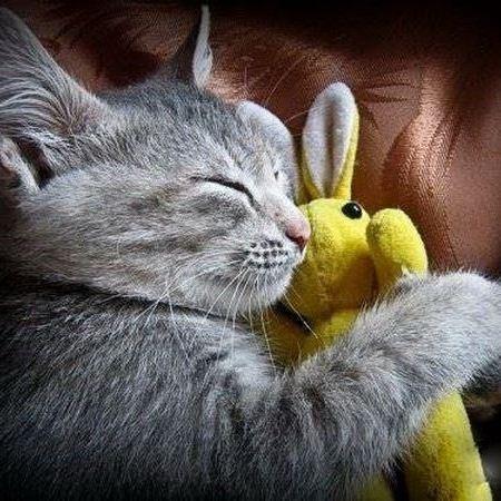 Чудо,чудо ваш Васятка.