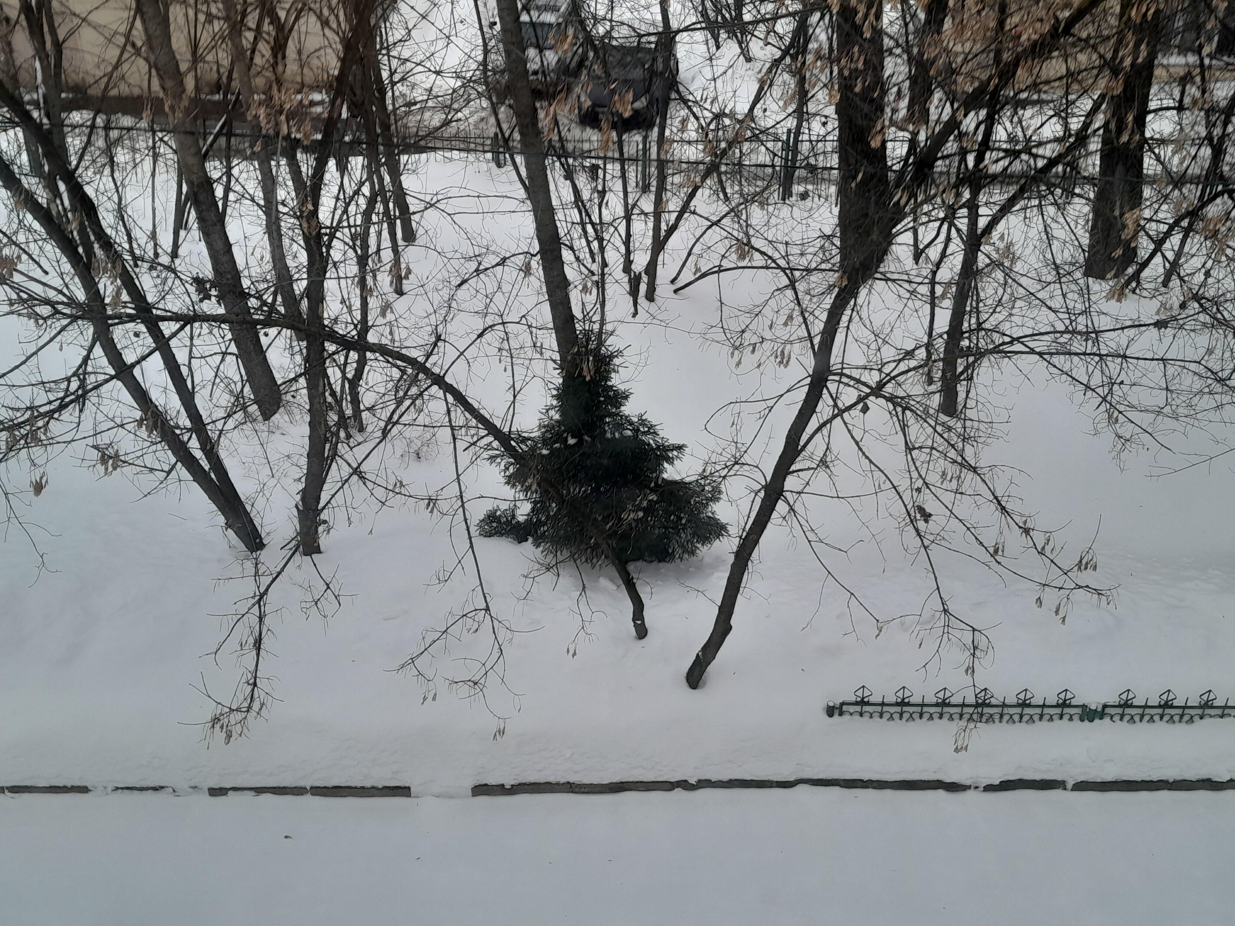 ФЕВРАЛЬСКИЕ ОСАДКИ