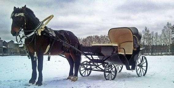 БЕНТЛИ Я НЕ ЗАПРЯГАЛ .