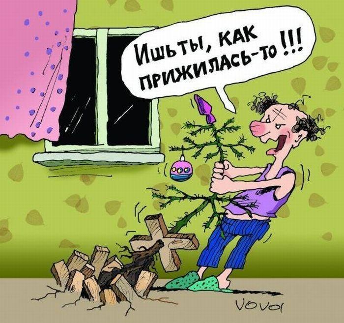 Сижу под ёлкой...