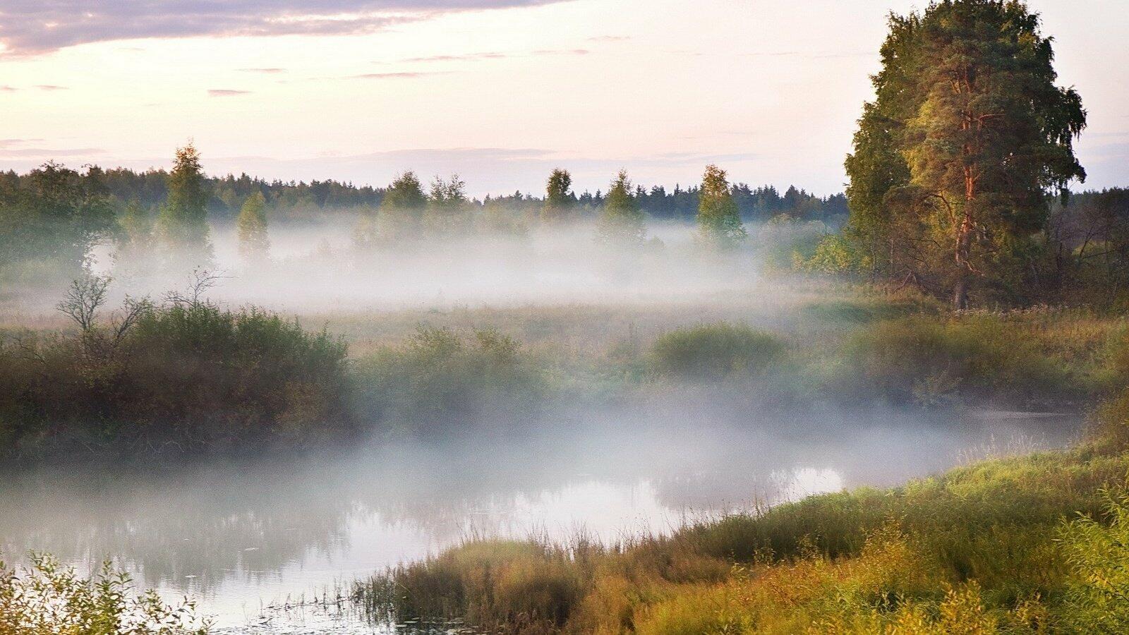 КРАСОТА  ТУМАНА  В  НОВОМ  ЛЕТЕ