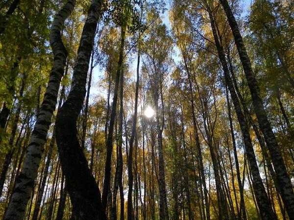 СВЕТЛИТЕСЬ!