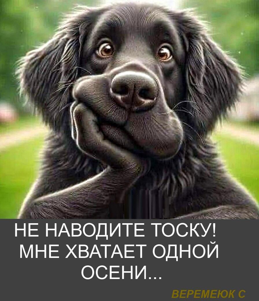Октябрь.