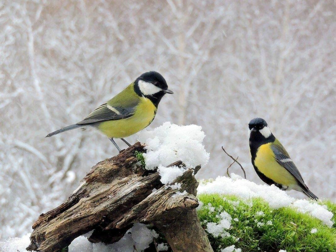 ВСЁ ПРЕКРАСНОЕ ЖДЁТ ВПЕРЕДИ...