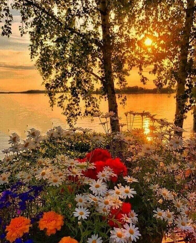 АВГУСТОВСКИЕ ВЕЧЕРА