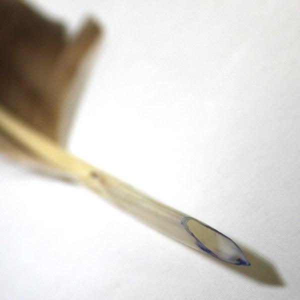 Мне снился сон!.. (А.Ладыгин)