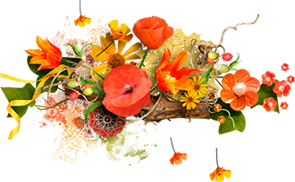 Цветочки от тебя - глазки Ангелочков!