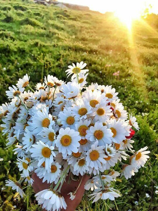 Такое утро мир дарует мне!