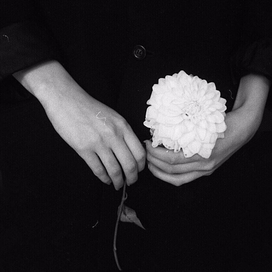 "Не бросайся живыми цветами..." (24.12.2019)