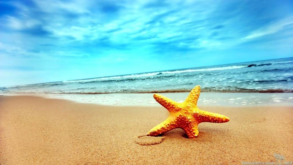 Дождусь лета