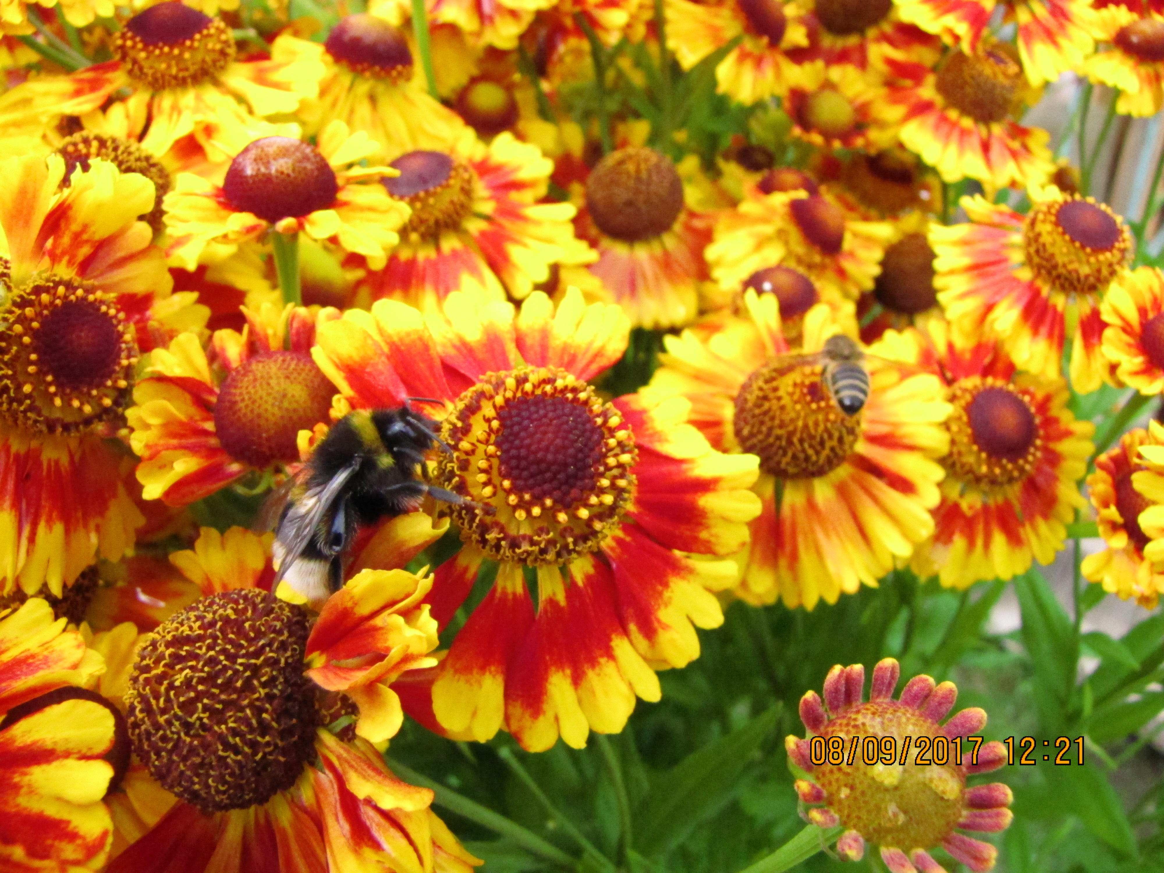 ДОСТОЙНЫЙ ФИНИШ...