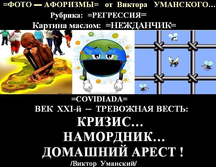 Картина маслом: =НЕЖДАНЧИК=