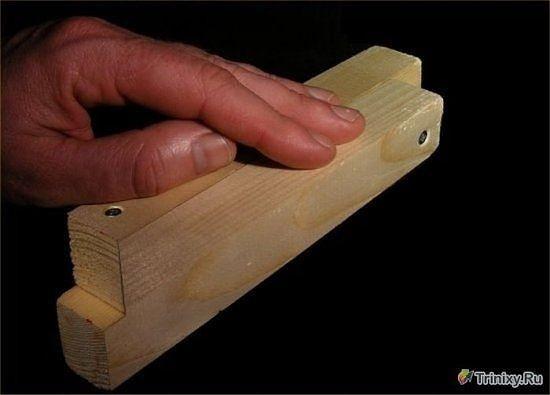 Раковина-тюльпан