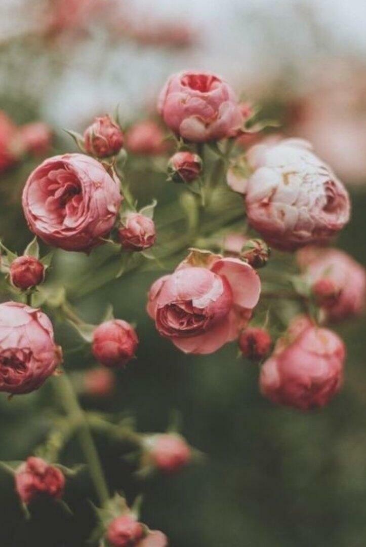 А что видишь ты?