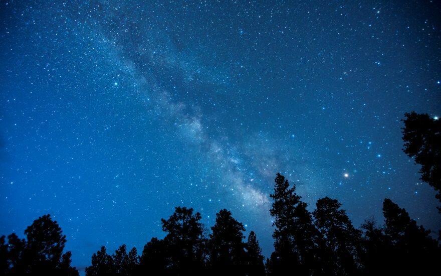 Сложились звезды...