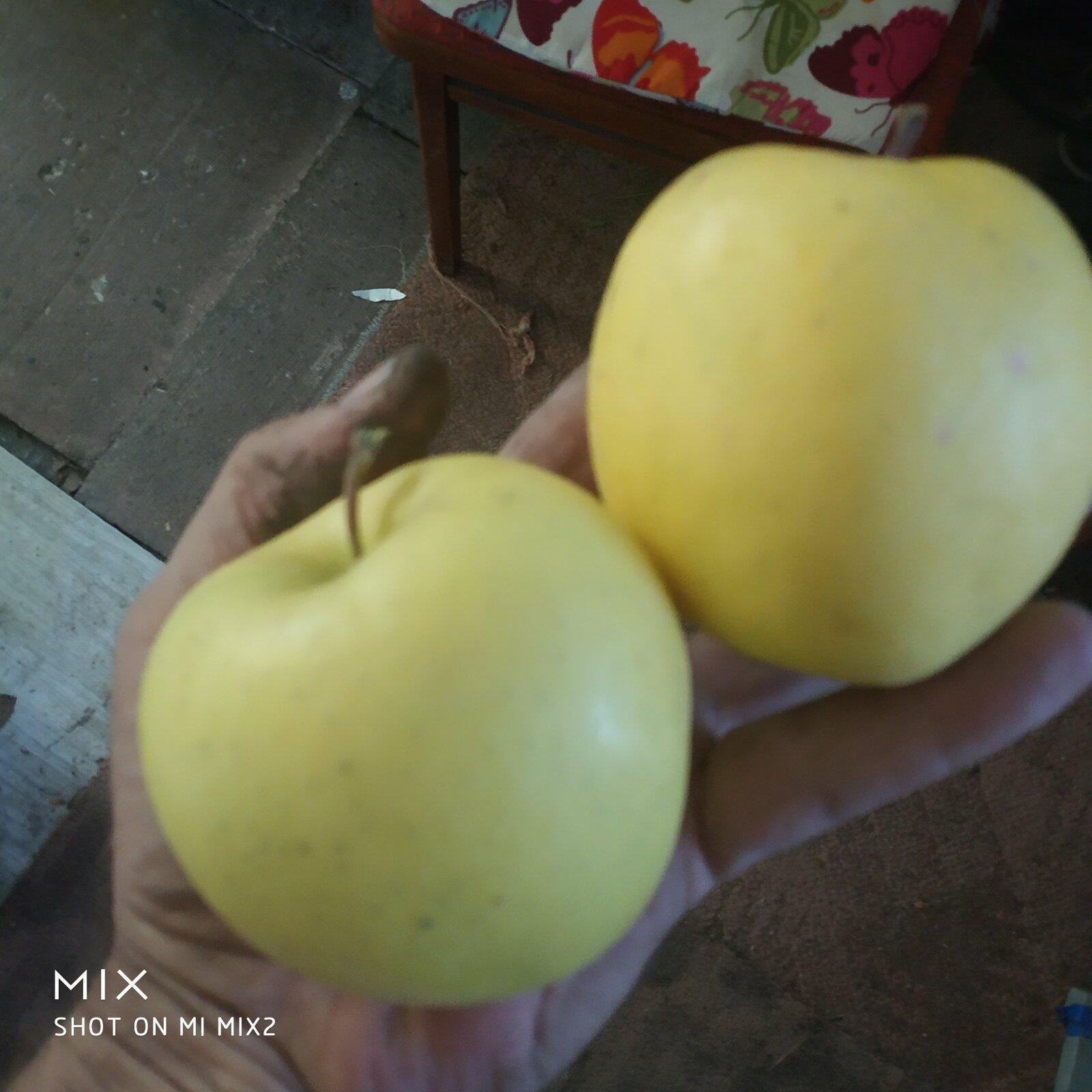 КАК ХОРОШО МНЕ ОСЕНЬЮ В САДУ