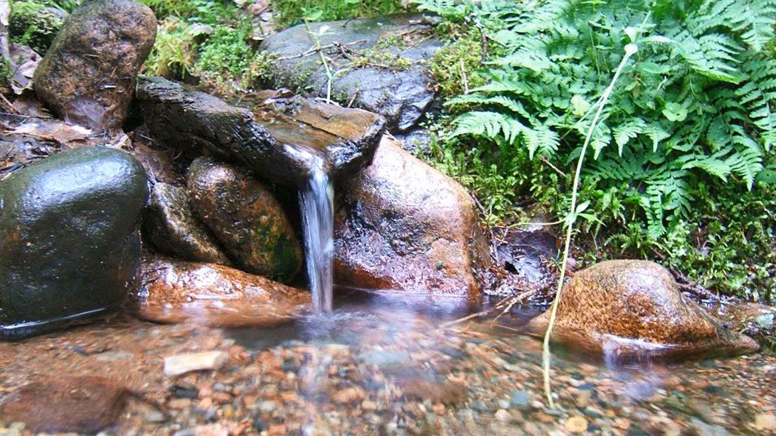 Природные источники воды. Природный Родник. Родник в лесу. Красивый Родник в лесу. Естественные источники воды