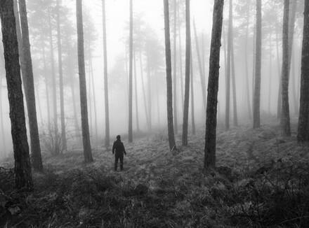 Полюбила, быть может и зря.