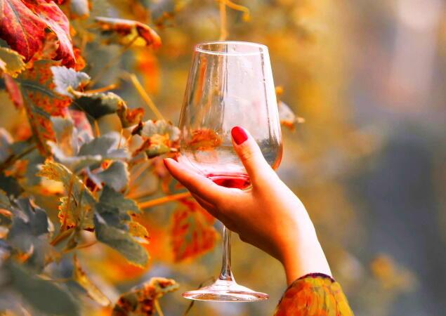 Пьет осень вино...