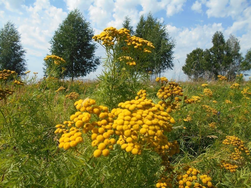 Просветление!