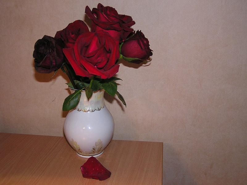 ОСЕННИЕ РОЗЫ ЛЮБВИ.