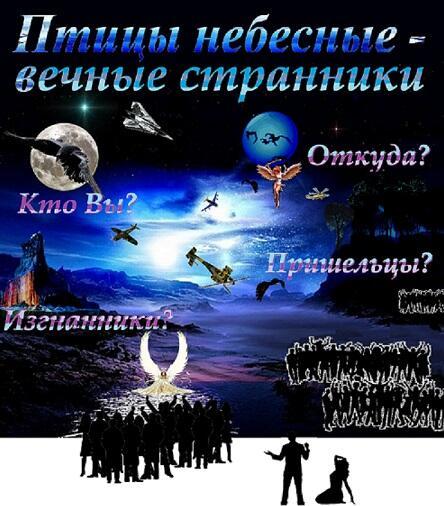 Птицы небесные - вечные странники