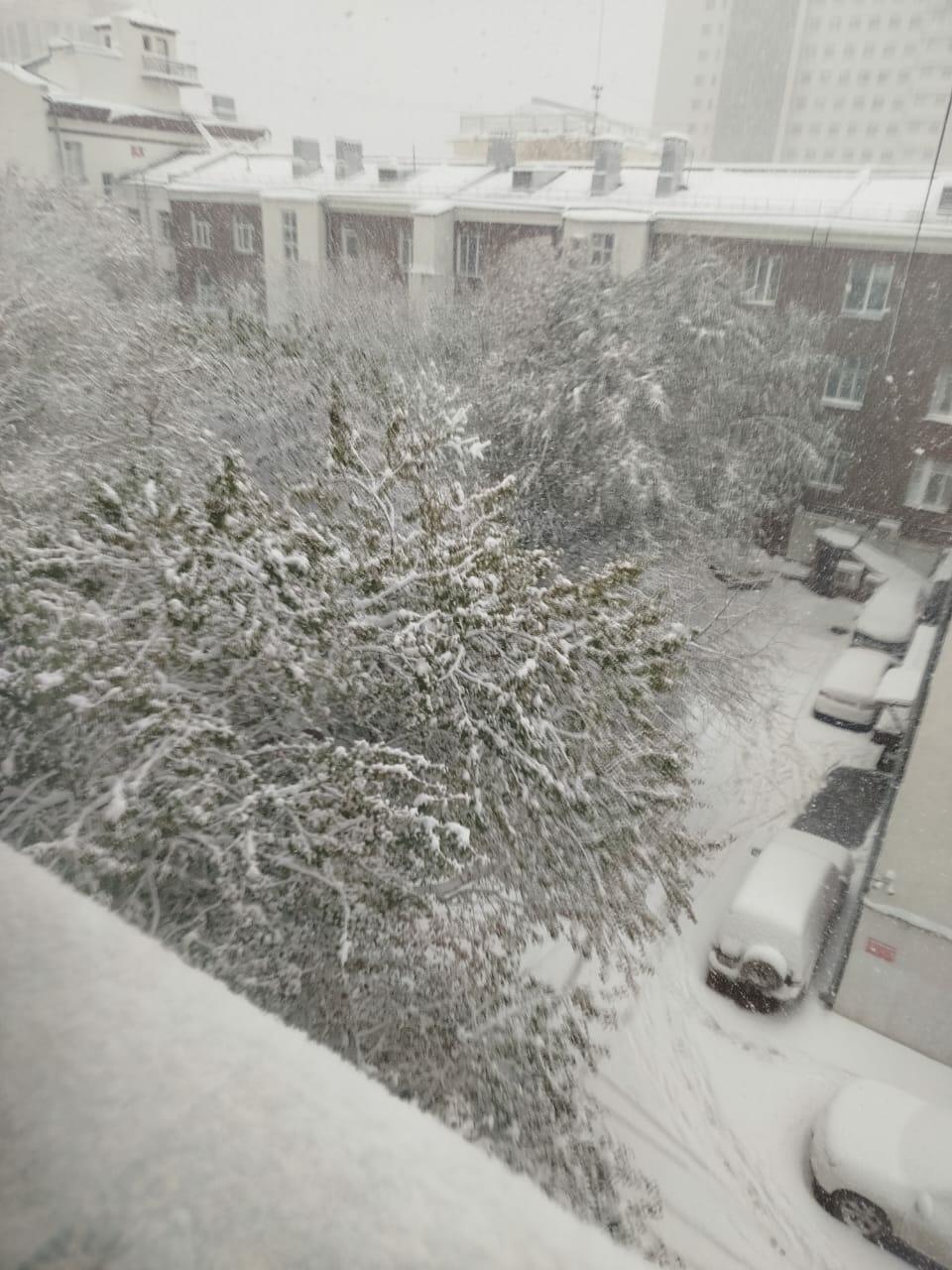 Поэтическое прочтение 101-го