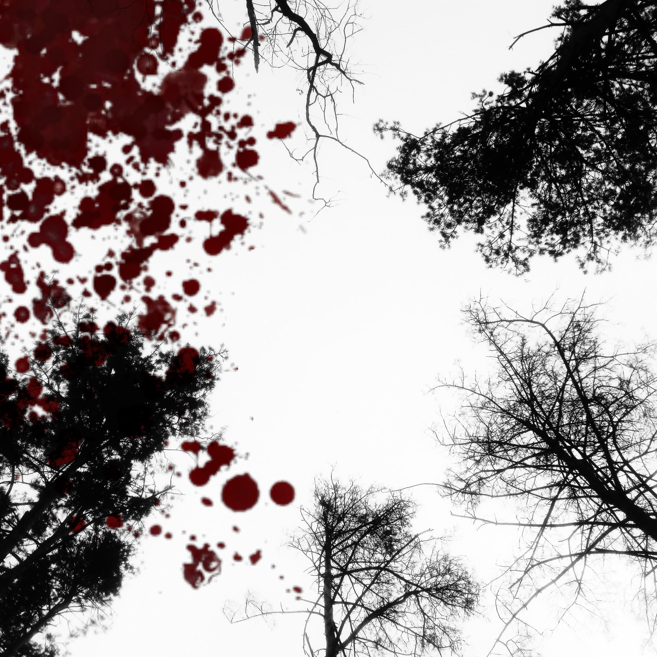 Зимняя песня