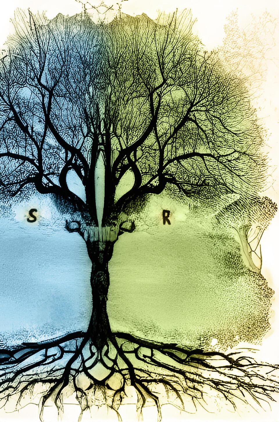 Наука и Религия