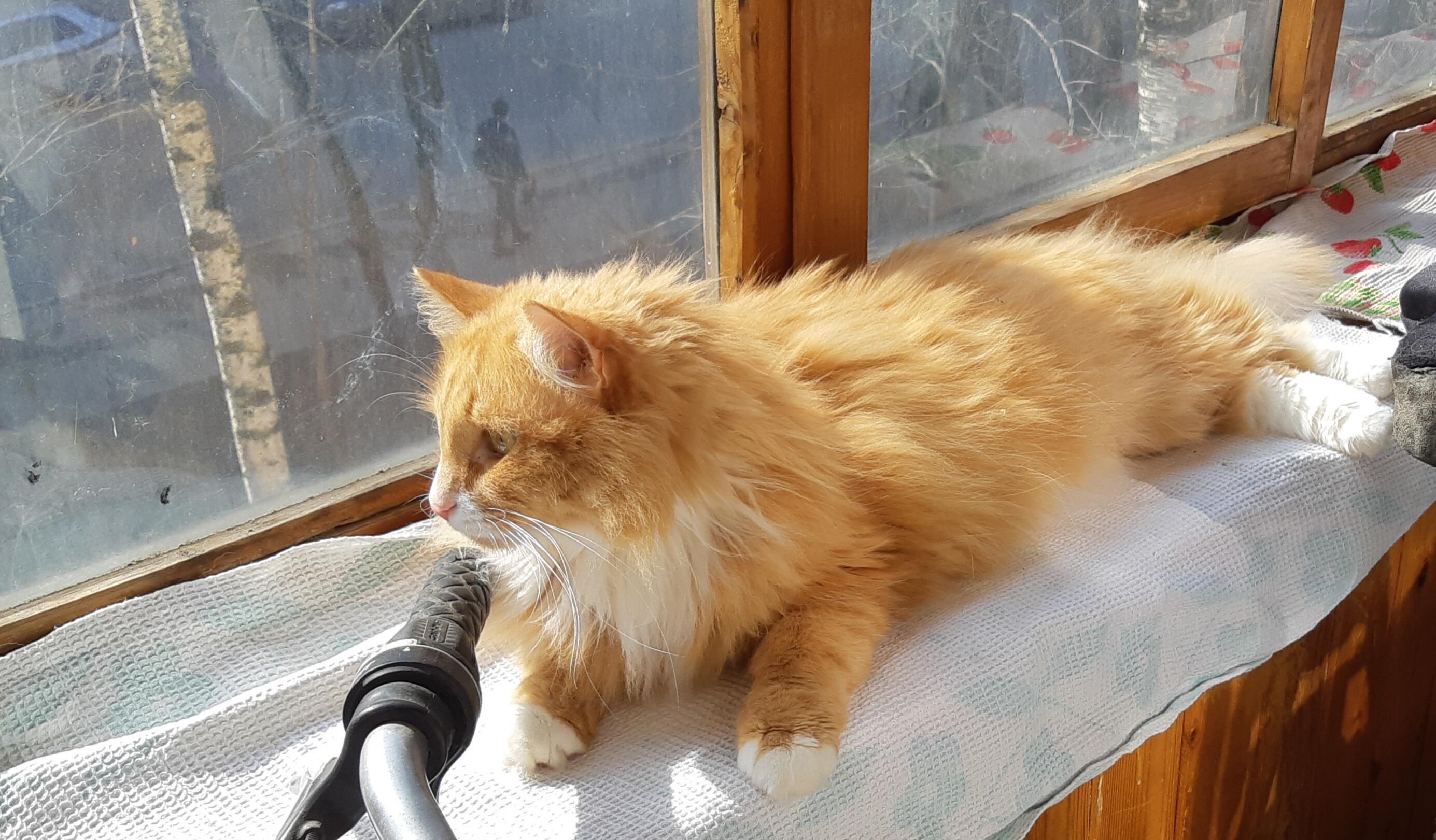 ЕЩЁ РАЗ О ВЕСНЕ