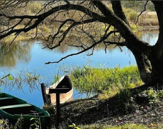 Апрельский хмель