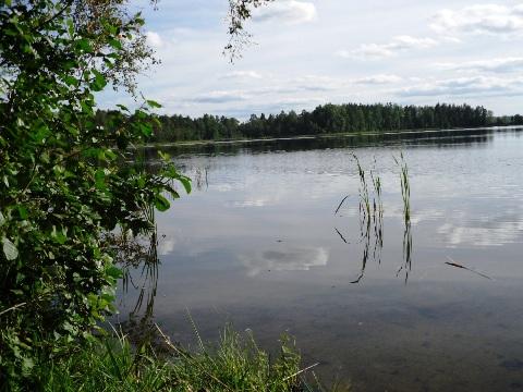 Этих строк простота и уверенность