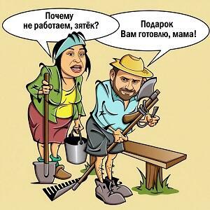 Пойдёт в отказ зятёк... /коротыш/