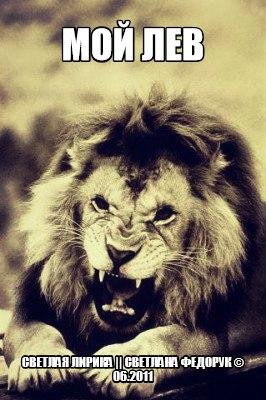 Мой лев