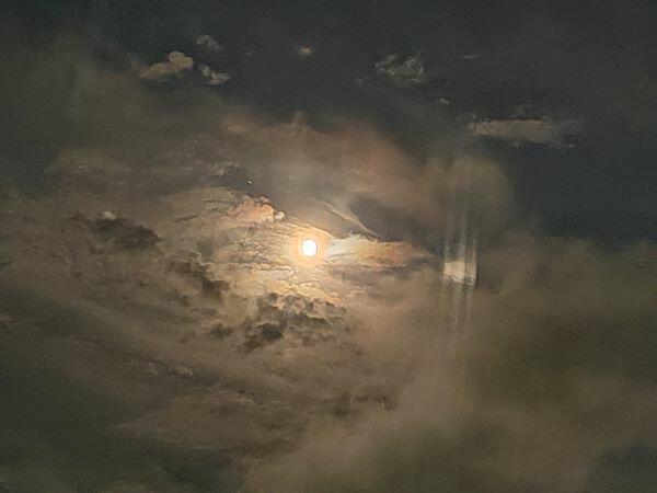 Полнолунное