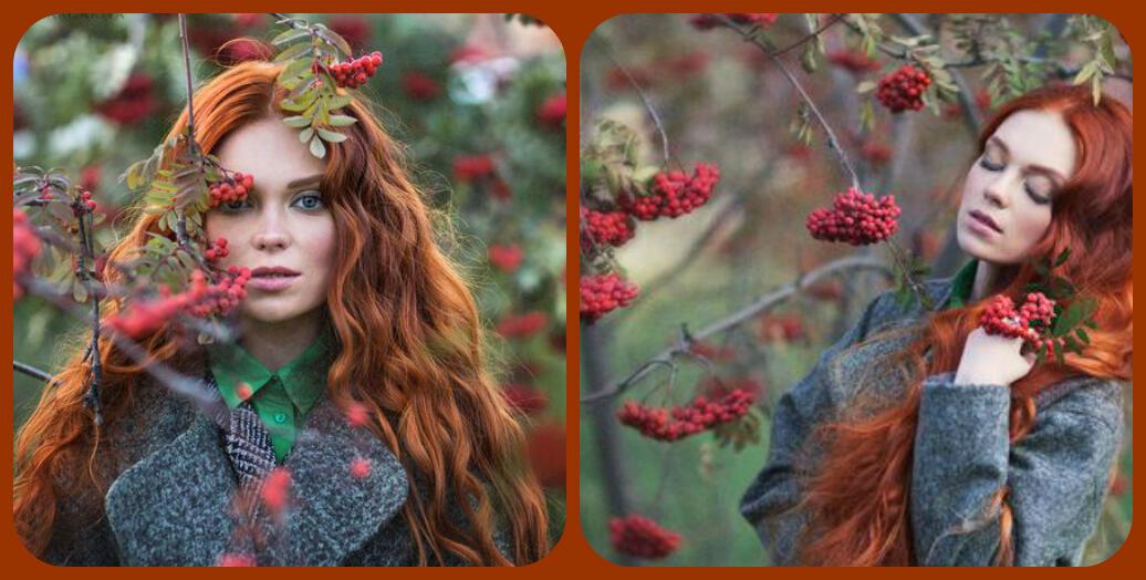 Осенняя медунья... Ответ СТАНИСЛАВ ТОТ-2