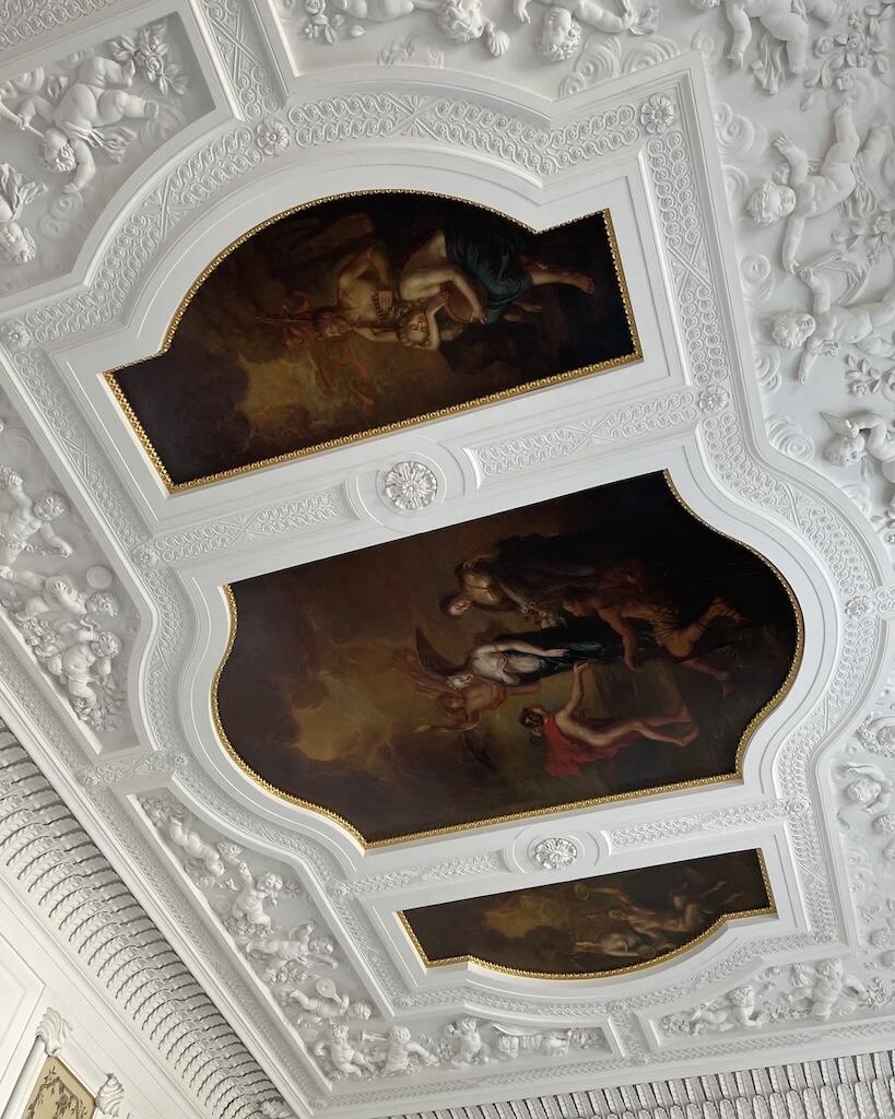 Любовь рождается